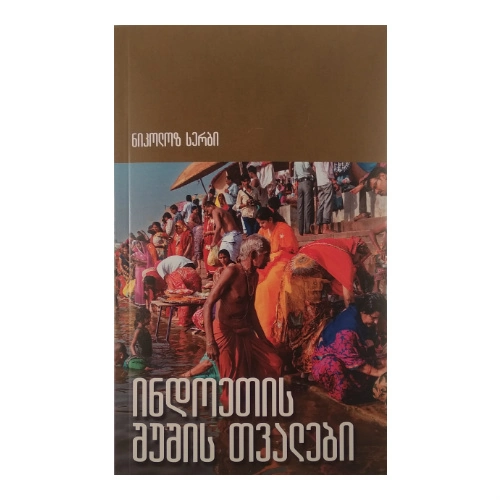 ინდოეთის შუშის თვალები, წიგნი