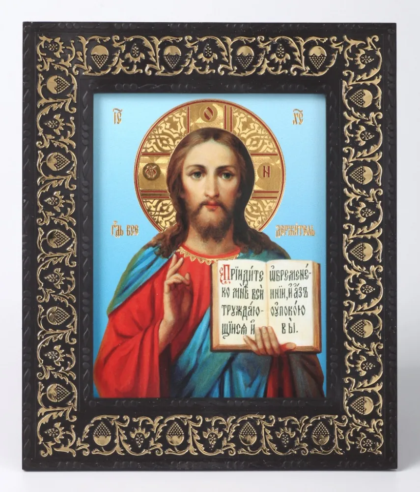 Icon in plastic frame 9×13 with grape vine Saviour 14
