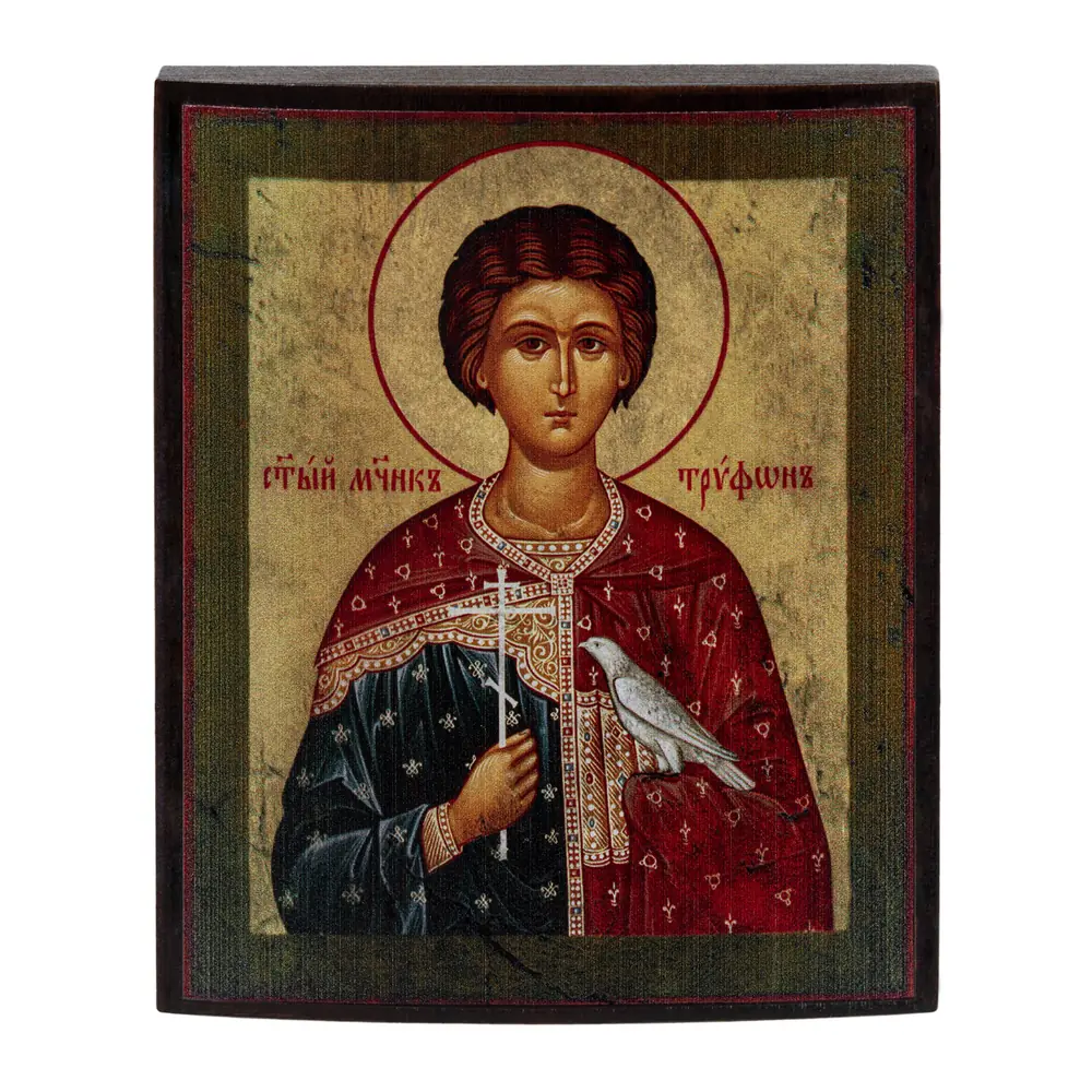 Icon on wood 9×11 varnish Tryphon
