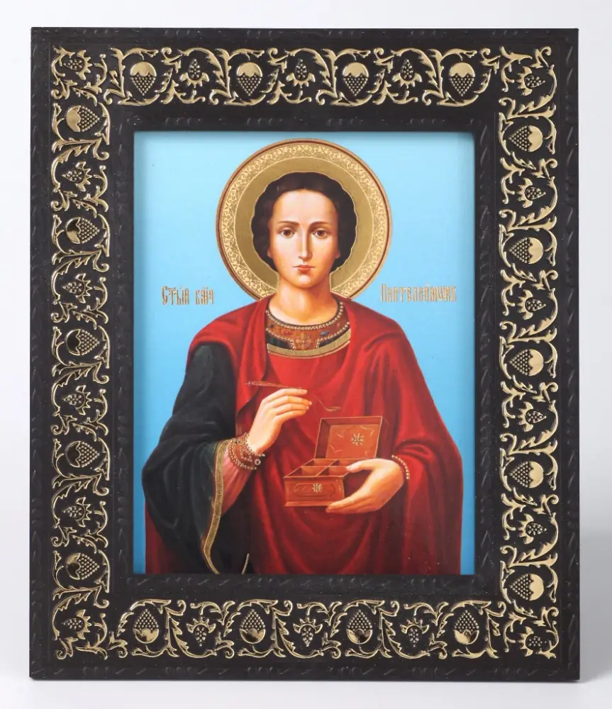 Icon in plastic frame 9×13 with grape vine Panteleimon