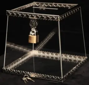Donation box of acrylic glass №2 nickel